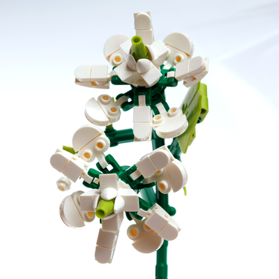 Blocks in Bloom Building Blocks: Jasmine image number 3