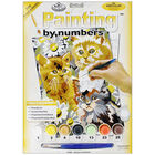 Junior Painting By Numbers: Kittens and Daisies image number 1