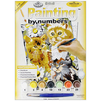 Junior Painting By Numbers: Kittens and Daisies image number 1