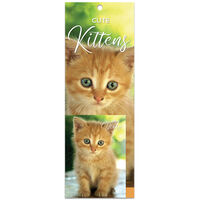 2024 Cute Kittens Slim Calendar and Diary Set