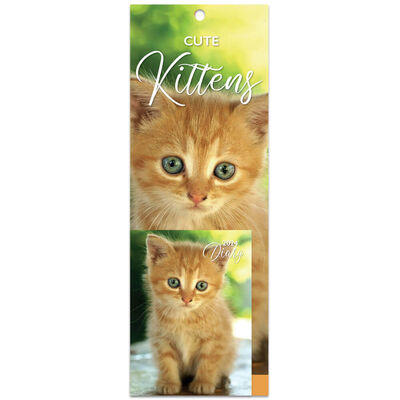 2024 Cute Kittens Slim Calendar and Diary Set image number 1