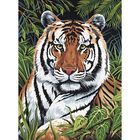 A4 Painting By Numbers Kit: Tiger in Hiding image number 2