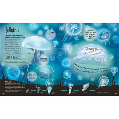 Earth's Incredible Oceans image number 2