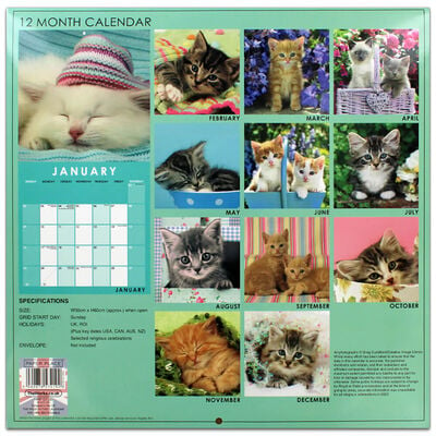 Cute Cats 2022 Square Calendar and Diary Set image number 4