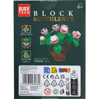 Blocks Succulents: Stonecrop image number 3