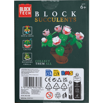 Blocks Succulents: Stonecrop image number 3