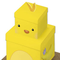 Easter Chick Plush Box