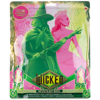 Wicked Lucky Bag