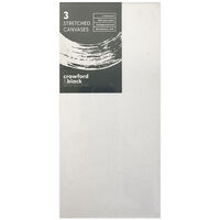 Crawford & Black Stretched Canvases 4 x 8 inches: Pack of 3