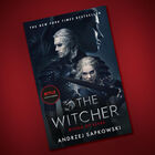 Blood of Elves: Witcher Book 1 image number 3