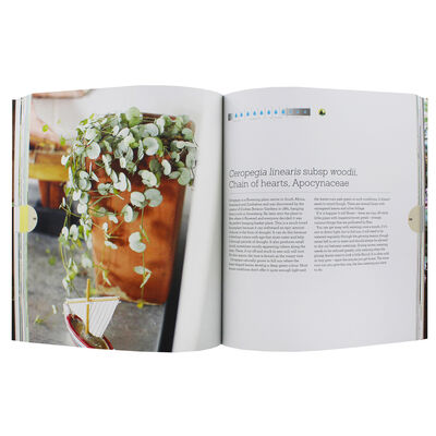 Plant Love image number 3