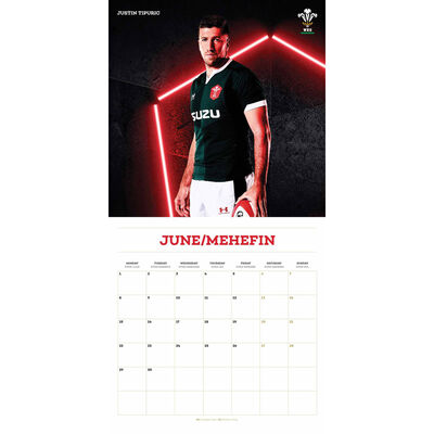 Welsh Rugby Union Official 2020 Calendar image number 2