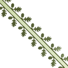 Foliage Ribbon 5m image number 1