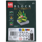 Blocks Succulents: Buckhorn Cholla image number 3