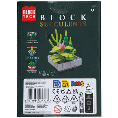 Blocks Succulents: Buckhorn Cholla image number 3