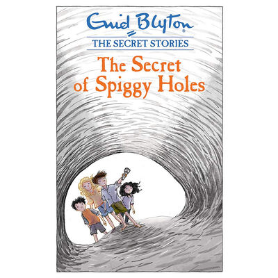 Enid Blyton The Secret Series: 4 Book Box Set image number 4