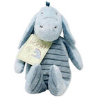 Classic Eeyore Plush Soft Toy image number 1