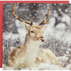 Stag Premium Christmas Cards: Pack Of 10 image number 1