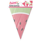 Watermelon Bunting 3m image number 1