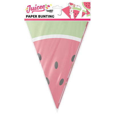 Watermelon Bunting 3m image number 1