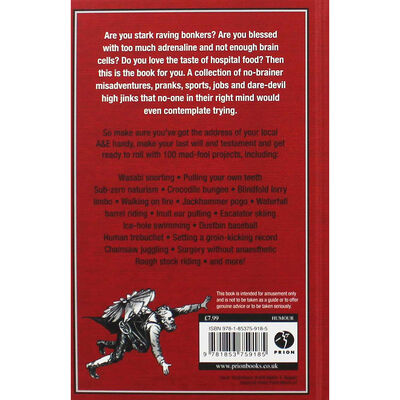 The Dangerous Book for Idiots image number 3