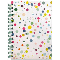 2024 A5 Day a Page Bright Spots Diary