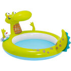 Alligator Spray Pool image number 1