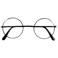 Harry Potter Novelty Eyewear