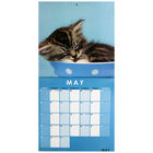Cute Cats 2022 Square Calendar and Diary Set image number 2