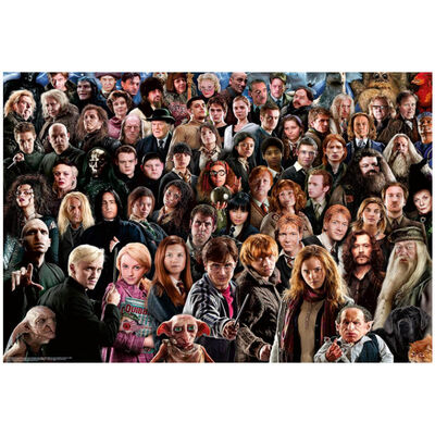 Harry Potter Challenge 1000 Piece Jigsaw Puzzle image number 2