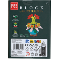 Blocks Succulents: Hen & Chick