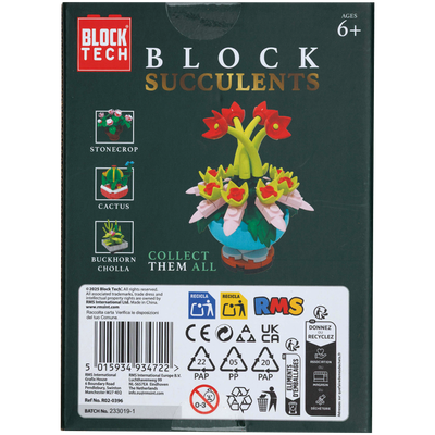 Blocks Succulents: Hen & Chick image number 2