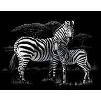 A4 Engraving Art Set: Zebras
