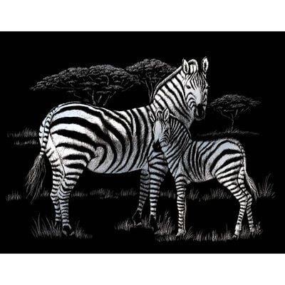 A4 Engraving Art Set: Zebras image number 2