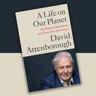 David Attenborough: A Life on Our Planet image number 2