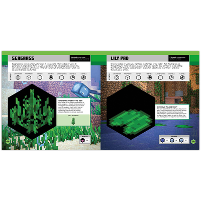 Minecraft Official Blocks Guide image number 3