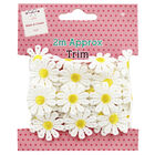 2m Daisy Chain Trim - Assorted image number 2