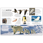 Animal: DK Eyewitness image number 2