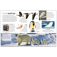 Animal: DK Eyewitness