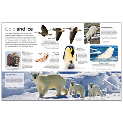 Animal: DK Eyewitness image number 2