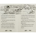 Magic Animal Friends - 10 Book Box Set image number 4