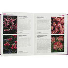 RHS: What Plant When image number 2