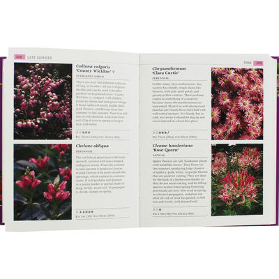 RHS: What Plant When image number 2