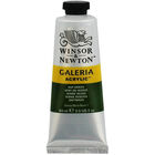 Galeria Acrylic Paint: Sap Green 60ml image number 1