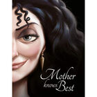Disney Mother Knows Best: A Tale of the Old Witch image number 1