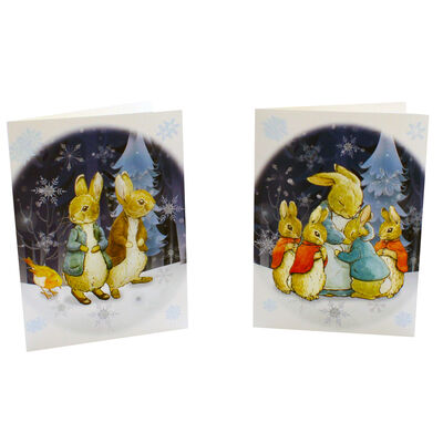 8 Peter Rabbit Christmas Cards in Tin - Mrs Rabbit image number 3