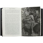 Fire and Blood: A History of the Targaryen Kings - 300 Years Before A Game of Thrones image number 2