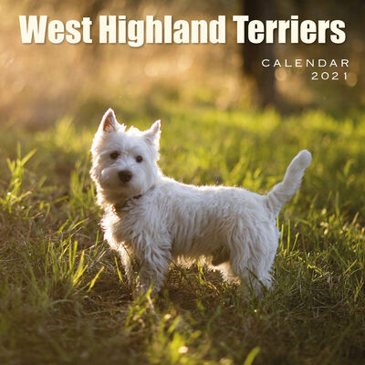 West Highland Terriers Calendar 2021 image number 1