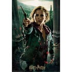 Harry Potter Hermione Granger Prime 3D 300 Piece Jigsaw Puzzle image number 2