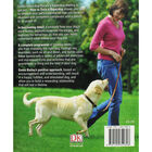 How To Train A Superdog image number 3